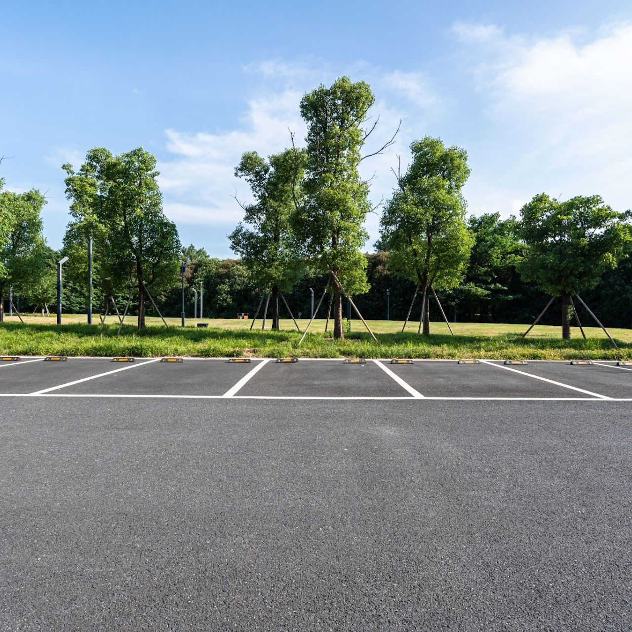 A freshly paved parking lot with neatly marked white lines for parking spaces with lush greenery in the background. This was done for a recent commercial project for a client in Morris County, NJ, showcasing the professional paving and maintenance services offered by Morris Town Paving.